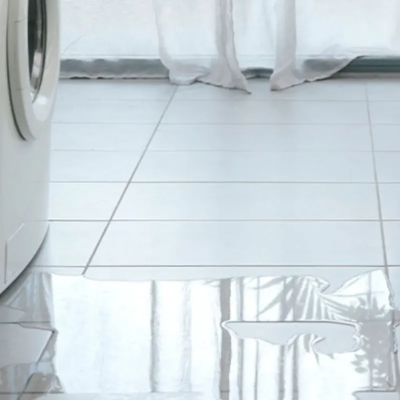 Appliance Leak Cleanup in Lewisville, TX