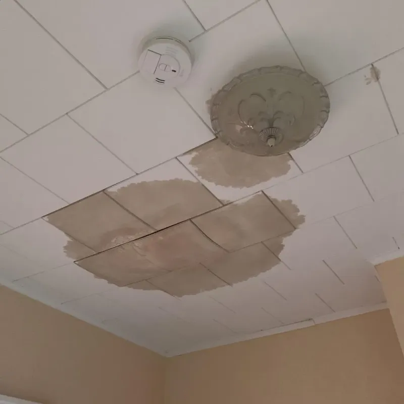 Ceiling Water Damage Repair in Lewisville, TX
