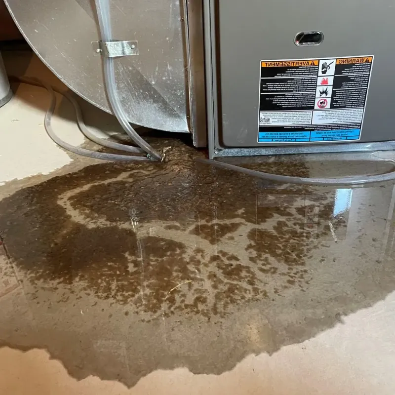 Pipe Burst and Leak Restoration in Lewisville, TX