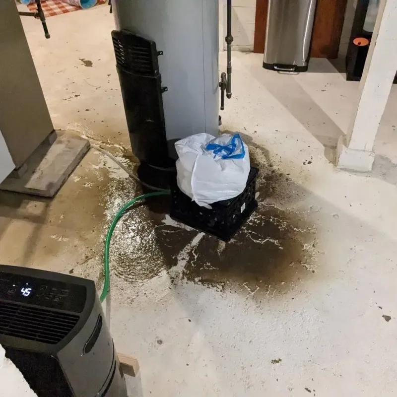 Sewage Backup Cleanup Service in Lewisville, TX